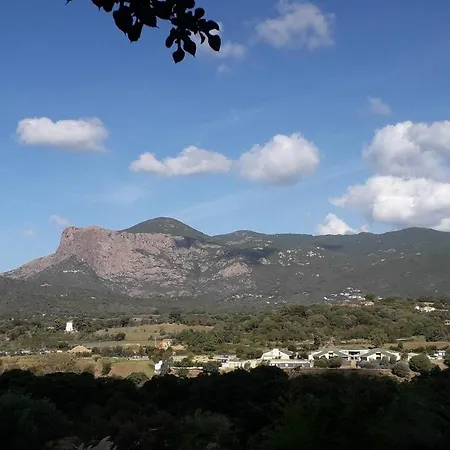 Bas De F3 Proche Ajaccio